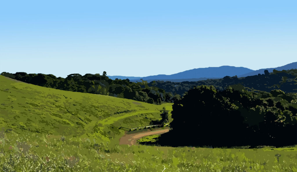 Fremont Older Open Space